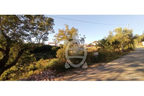 Helårsgrund i Assafarge e Antanhol, Coimbra, Assafarge e Antanhol - € 80.000 | Ref: ff1489 - foto 8