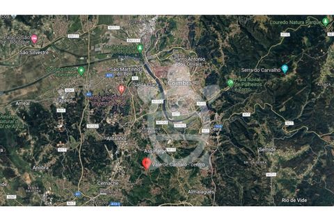 Helårsgrund i Assafarge e Antanhol, Coimbra, Assafarge e Antanhol - € 80.000 | Ref: ff1489 - foto 3