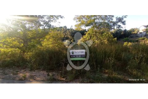 Helårsgrund i Assafarge e Antanhol, Coimbra, Assafarge e Antanhol - € 80.000 | Ref: ff1489 - foto 5
