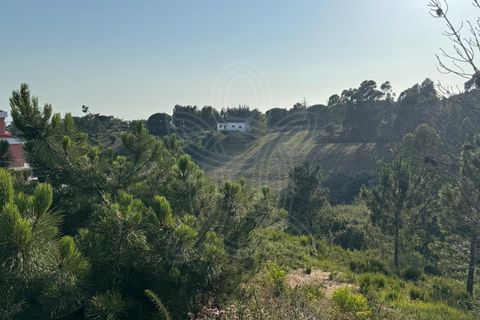 Helårsgrund i Buarcos, Coimbra, Buarcos - € 99.900 | Ref: ff1481 - foto 11