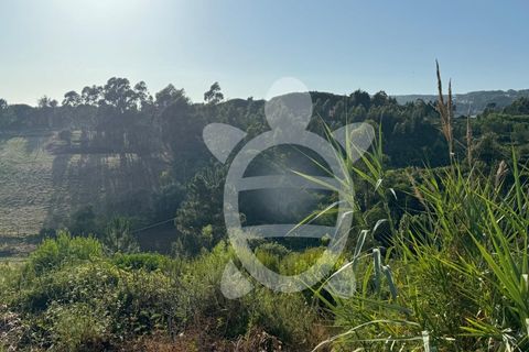 Helårsgrund i Buarcos, Coimbra, Buarcos - € 99.900 | Ref: ff1481 - foto 14