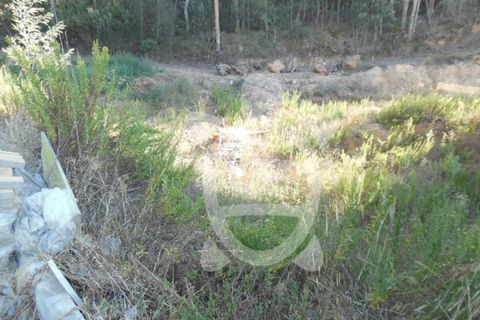 Helårsgrund i Coimbra, Coimbra, Coimbra - € 39.500 | Ref: cbr1109 - foto 6