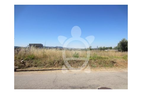 Terra a Cernache, Coimbra, Cernache - € 37.000 | Ref: cbr0541 - foto 4