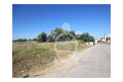 Terra a Cernache, Coimbra, Cernache - € 37.000 | Ref: cbr0541 - foto 6