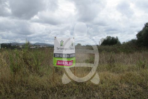 Terra a Cernache, Coimbra, Cernache - € 37.000 | Ref: cbr0541 - foto 7