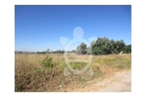 Terra a Cernache, Coimbra, Cernache - € 37.000 | Ref: cbr0541 - foto 8