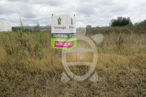 Terra a Cernache, Coimbra, Cernache - € 37.000 | Ref: cbr0541 - foto 9