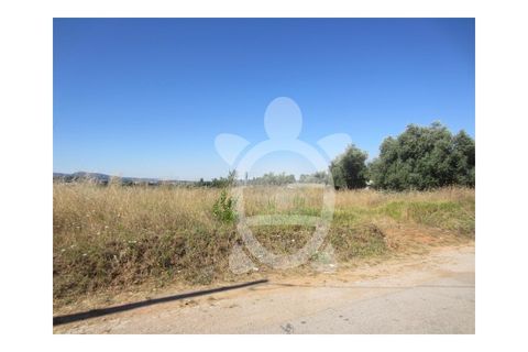 Terra a Cernache, Coimbra, Cernache - € 37.000 | Ref: cbr0541 - foto 10
