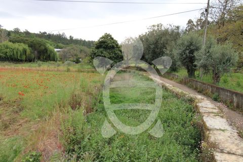 Villa a Penela, Coimbra, Penela - € 68.000 | Ref: cdx0810 - foto 6
