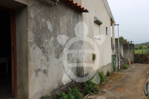 Villa a Penela, Coimbra, Penela - € 68.000 | Ref: cdx0810 - foto 12