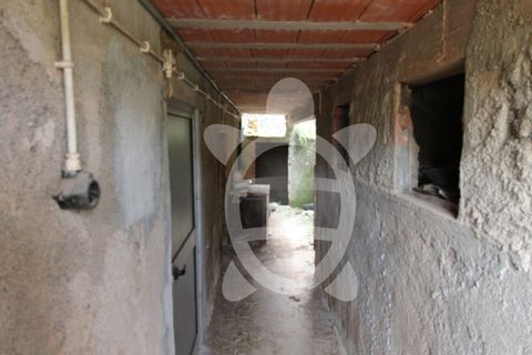 Villa a Penela, Coimbra, Penela - € 68.000 | Ref: cdx0810 - foto 14