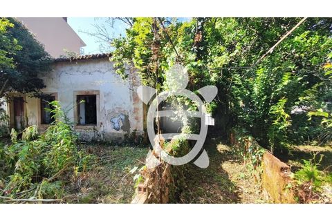 Villa i Coimbra, Coimbra, Coimbra - € 278.000 | Ref: cbr2120 - foto 3