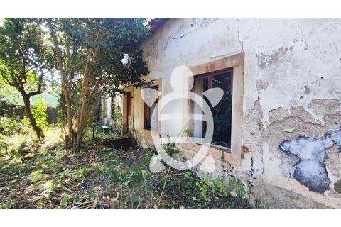 Villa i Coimbra, Coimbra, Coimbra - € 278.000 | Ref: cbr2120 - foto 4