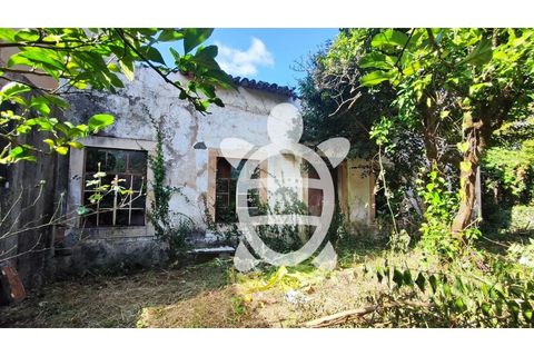 Villa i Coimbra, Coimbra, Coimbra - € 278.000 | Ref: cbr2120 - foto 15