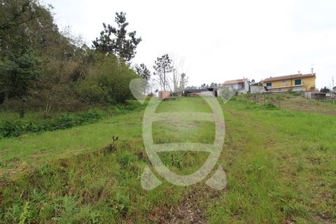 Villa i Alqueidao, Coimbra, Alqueidao - € 175.000 | Ref: ff1435 - foto 18
