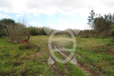 Villa i Alqueidao, Coimbra, Alqueidao - € 175.000 | Ref: ff1435 - foto 20