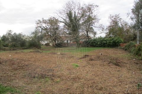 Helårsgrund i Cernache, Coimbra, Cernache - € 85.000 | Ref: cbr2563 - foto 3