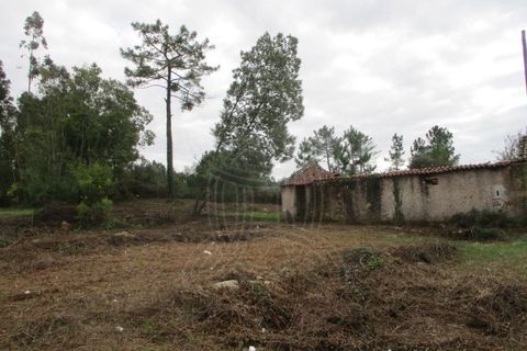 Helårsgrund i Cernache, Coimbra, Cernache - € 85.000 | Ref: cbr2563 - foto 2