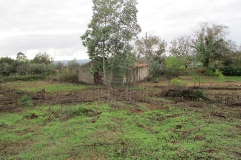 Helårsgrund i Cernache, Coimbra, Cernache - € 85.000 | Ref: cbr2563 - foto 5