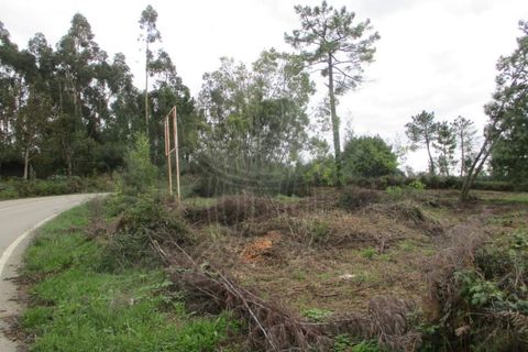 Helårsgrund i Cernache, Coimbra, Cernache - € 85.000 | Ref: cbr2563 - foto 6
