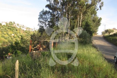 Helårsgrund i Coimbra, Coimbra, Coimbra - € 52.500 | Ref: 17-4556 - foto 2