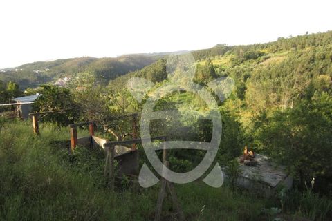 Helårsgrund i Coimbra, Coimbra, Coimbra - € 52.500 | Ref: 17-4556 - foto 3