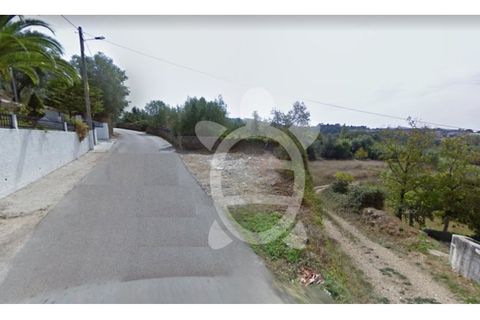 Tomt i Cernache, Coimbra, Cernache - € 24 500 | Ref: cbr1113 - foto 2