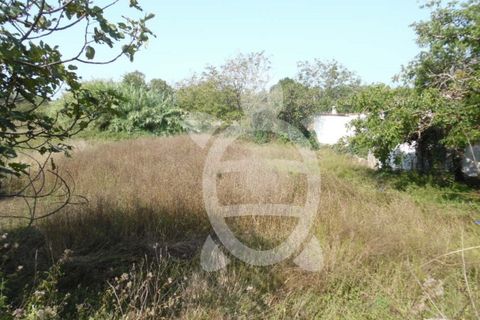 Tomt i Cernache, Coimbra, Cernache - € 24 500 | Ref: cbr1113 - foto 3