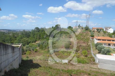 Helårsgrund i Coimbra, Coimbra, Coimbra - € 79.500 | Ref: 17-2503 - foto 7