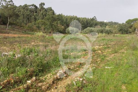 Helårsgrund i Assafarge e Antanhol, Coimbra, Assafarge e Antanhol - € 200.000 | Ref: cbr0032 - foto 2
