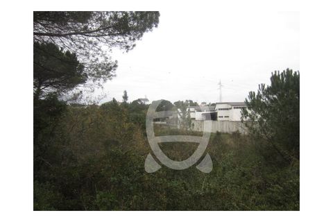 Helårsgrund i Assafarge e Antanhol, Coimbra, Assafarge e Antanhol - € 200.000 | Ref: cbr0032 - foto 5