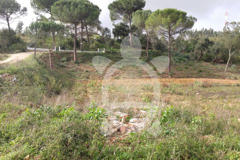Helårsgrund i Assafarge e Antanhol, Coimbra, Assafarge e Antanhol - € 200.000 | Ref: cbr0032 - foto 6
