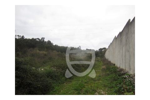 Helårsgrund i Assafarge e Antanhol, Coimbra, Assafarge e Antanhol - € 200.000 | Ref: cbr0032 - foto 7