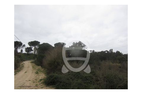 Helårsgrund i Assafarge e Antanhol, Coimbra, Assafarge e Antanhol - € 200.000 | Ref: cbr0032 - foto 8