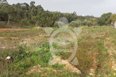 Helårsgrund i Assafarge e Antanhol, Coimbra, Assafarge e Antanhol - € 200.000 | Ref: cbr0032 - foto 9