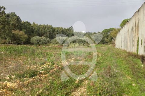 Helårsgrund i Assafarge e Antanhol, Coimbra, Assafarge e Antanhol - € 200.000 | Ref: cbr0032 - foto 11