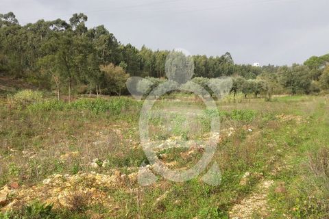 Helårsgrund i Assafarge e Antanhol, Coimbra, Assafarge e Antanhol - € 200.000 | Ref: cbr0032 - foto 12