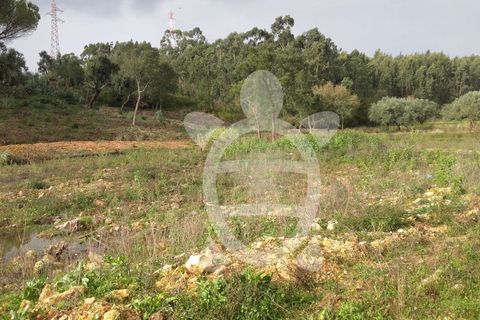 Helårsgrund i Assafarge e Antanhol, Coimbra, Assafarge e Antanhol - € 200.000 | Ref: cbr0032 - foto 13