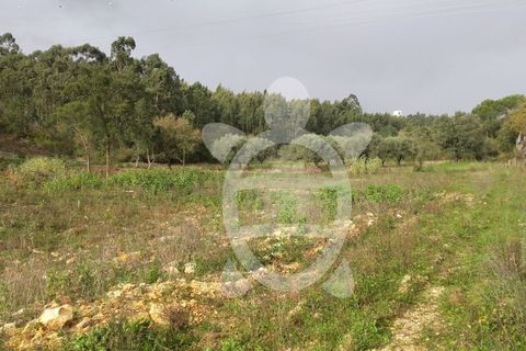 Helårsgrund i Assafarge e Antanhol, Coimbra, Assafarge e Antanhol - € 200.000 | Ref: cbr0032 - foto 14