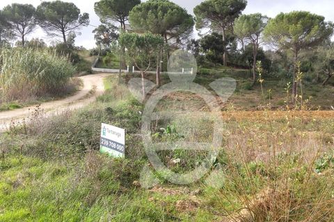 Helårsgrund i Assafarge e Antanhol, Coimbra, Assafarge e Antanhol - € 200.000 | Ref: cbr0032 - foto 17