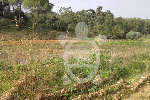 Helårsgrund i Assafarge e Antanhol, Coimbra, Assafarge e Antanhol - € 200.000 | Ref: cbr0032 - foto 18