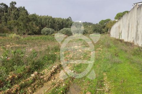 Helårsgrund i Assafarge e Antanhol, Coimbra, Assafarge e Antanhol - € 200.000 | Ref: cbr0032 - foto 19