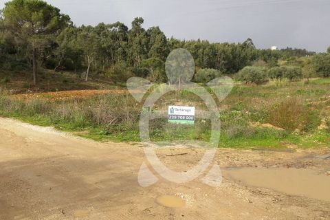 Helårsgrund i Assafarge e Antanhol, Coimbra, Assafarge e Antanhol - € 200.000 | Ref: cbr0032 - foto 21