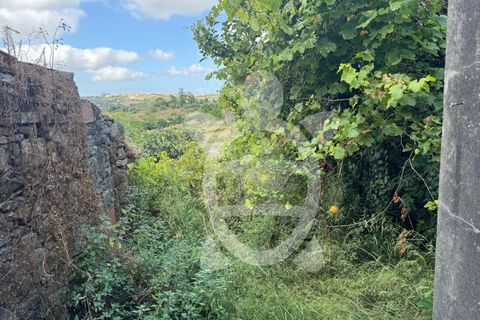 Villa i Abrunheira, Lisbon, Abrunheira - € 41.500 | Ref: ff1488 - foto 23