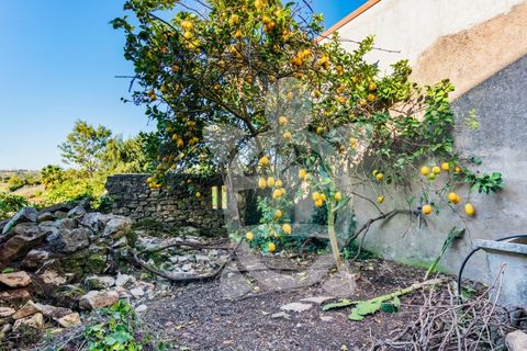 Villa i Abrunheira, Lisbon, Abrunheira - € 41.500 | Ref: ff1488 - foto 37