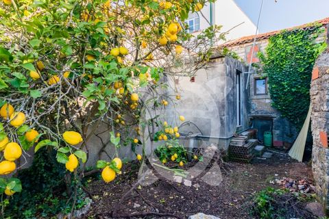 Villa i Abrunheira, Lisbon, Abrunheira - € 41.500 | Ref: ff1488 - foto 38