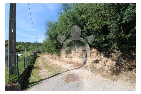 Helårsgrund i Coimbra, Coimbra, Coimbra - € 199.500 | Ref: cbr3170 - foto 6