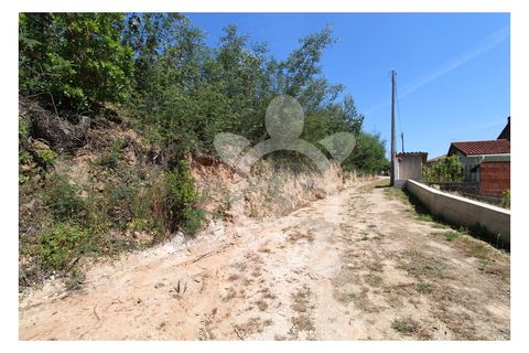 Helårsgrund i Coimbra, Coimbra, Coimbra - € 199.500 | Ref: cbr3170 - foto 7
