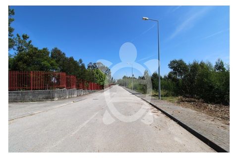 Helårsgrund i Coimbra, Coimbra, Coimbra - € 199.500 | Ref: cbr3170 - foto 11