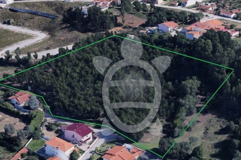 Helårsgrund i Coimbra, Coimbra, Coimbra - € 400.000 | Ref: cbr3165 - foto 1